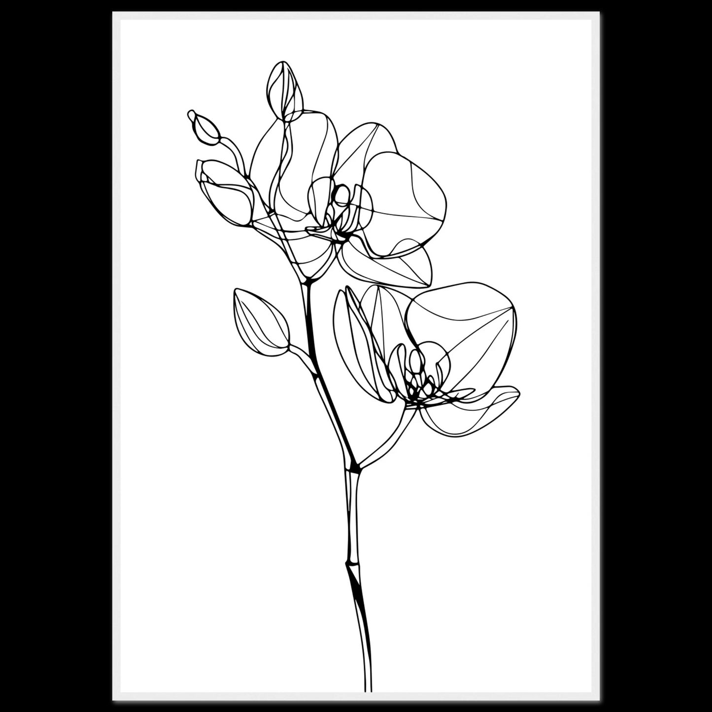 5b3a60f6-e2b1-41d2-ae2a-1edcdcff2cdd